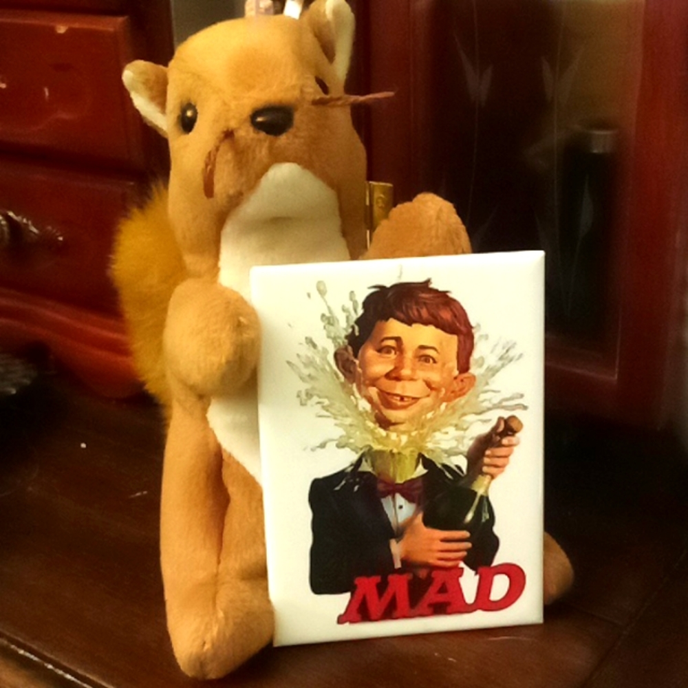 Biscuit my pet squirrel loves MAD